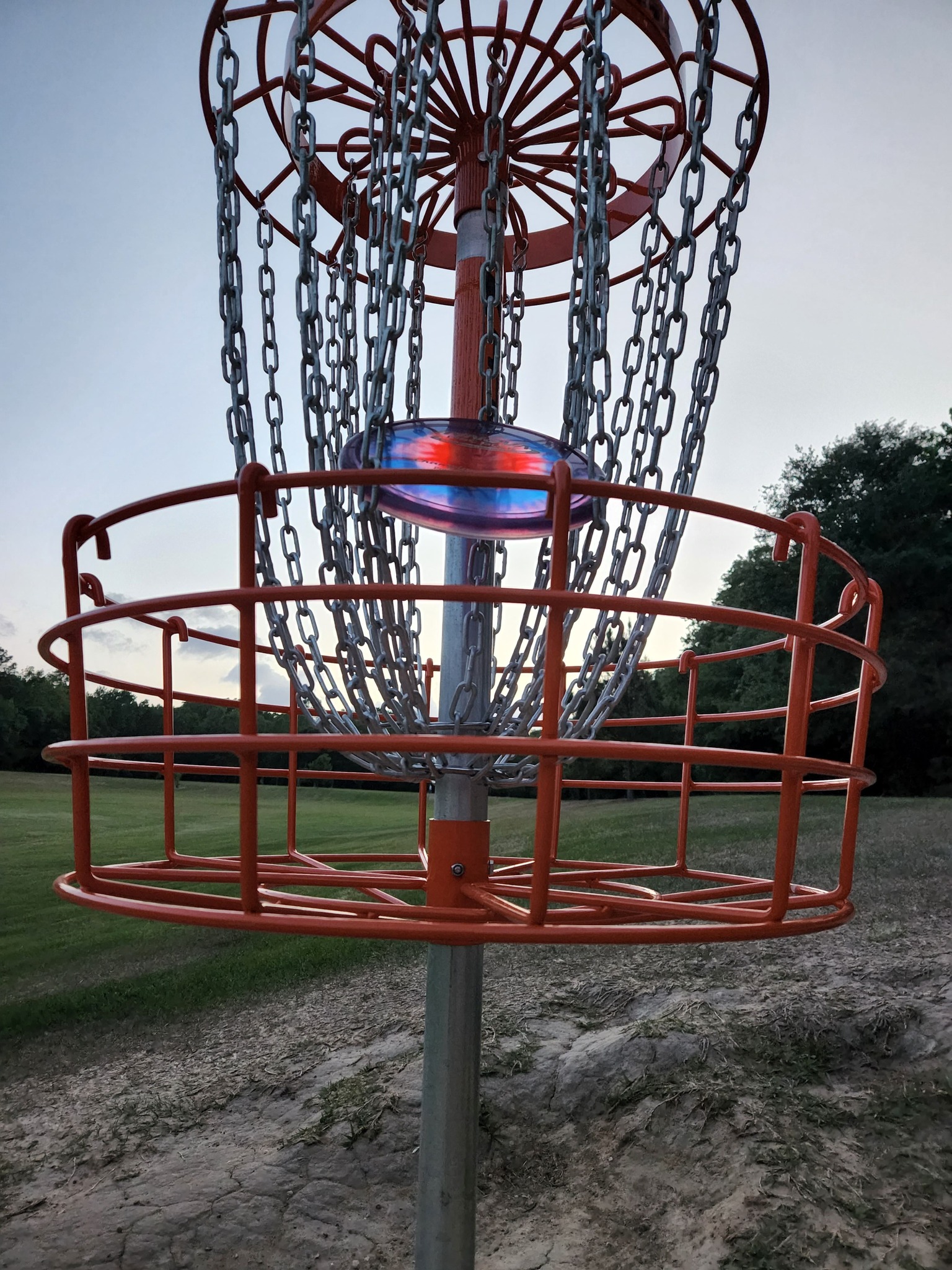awesome photo of disc in basket at Texas Army Trail