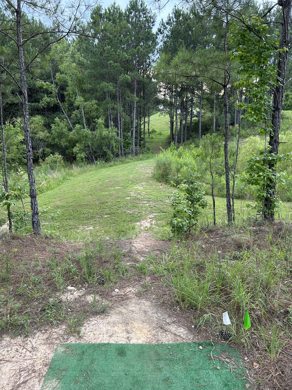 Hole 11 View 2