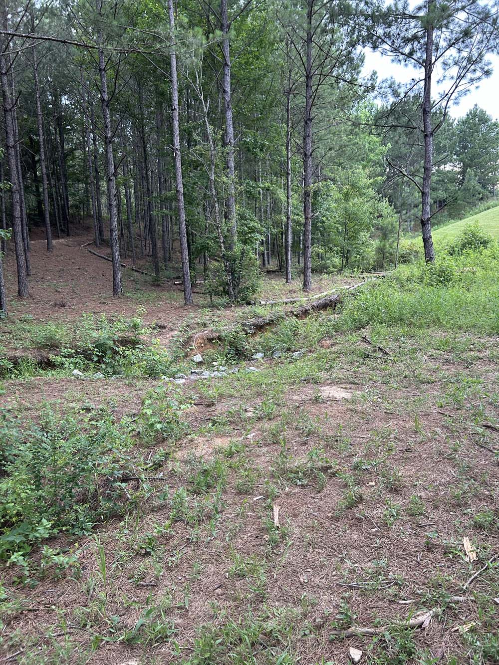 Hole 11 View 3