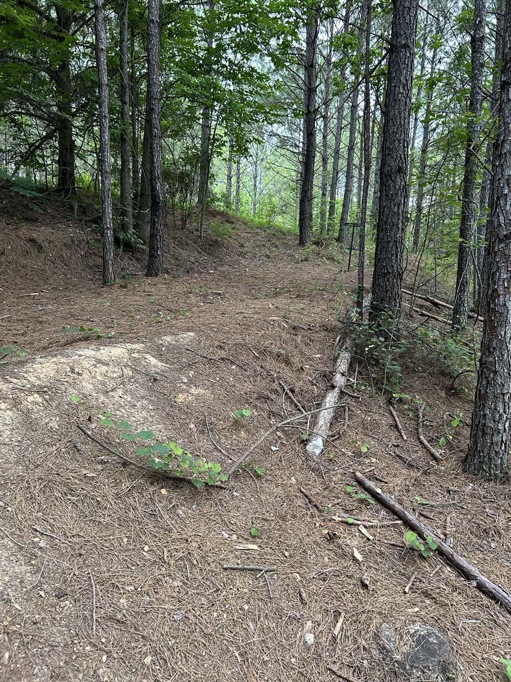 Hole 11 View 4